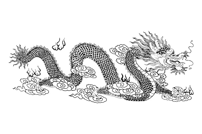 Chinese Asian Dragon Drawing